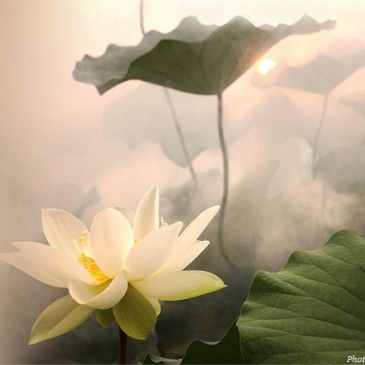 Chapter 01#: #Insecurity #Self-Blame #Conflict with Authority #Unknown Pain # Guilt: